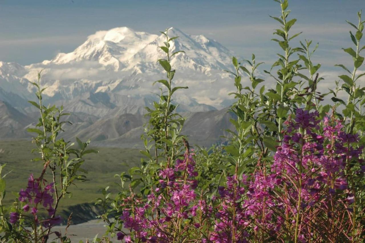 Denali Park 2 Bedroom Mom In Law Healy Εξωτερικό φωτογραφία